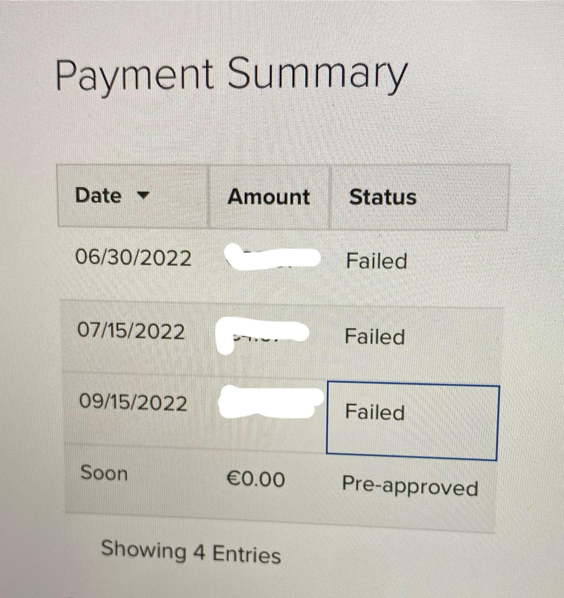 [SOLUTION FOUND] Error: Please use a different payment method to ...